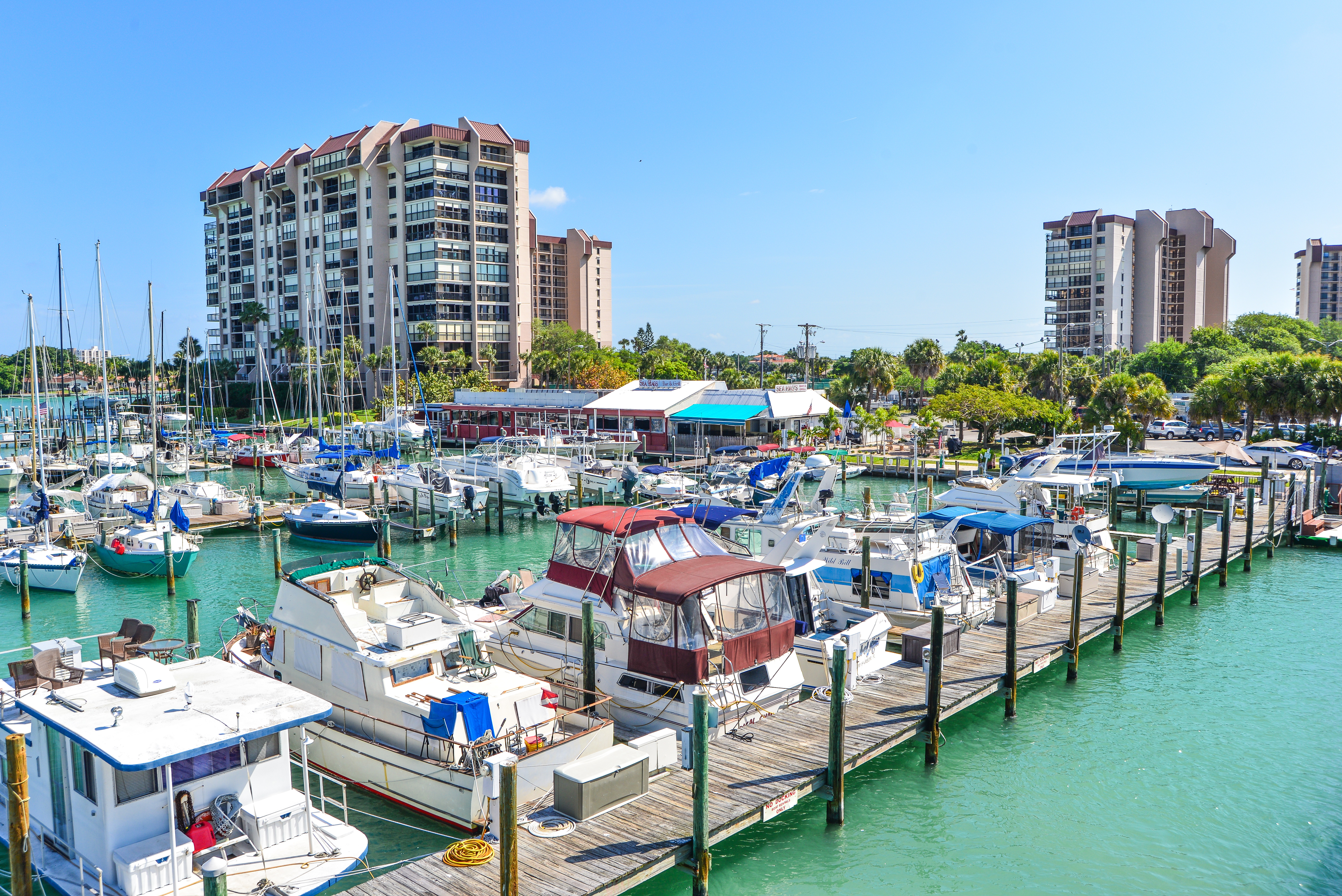 Downtown Tampa Activity